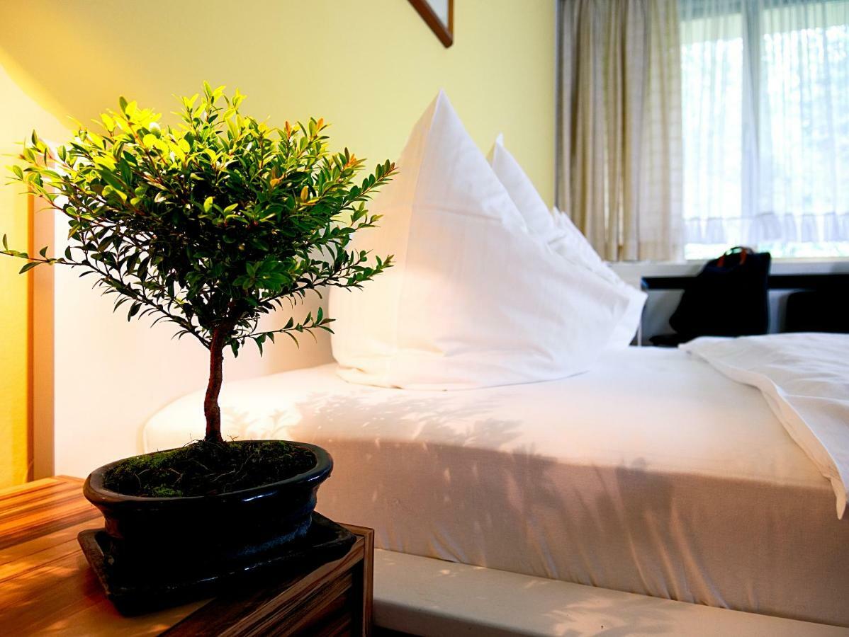 Hotel Albrechtshof Gohrisch 외부 사진